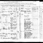 1907 New York Passenger List - Line 28 - Maria Szarek